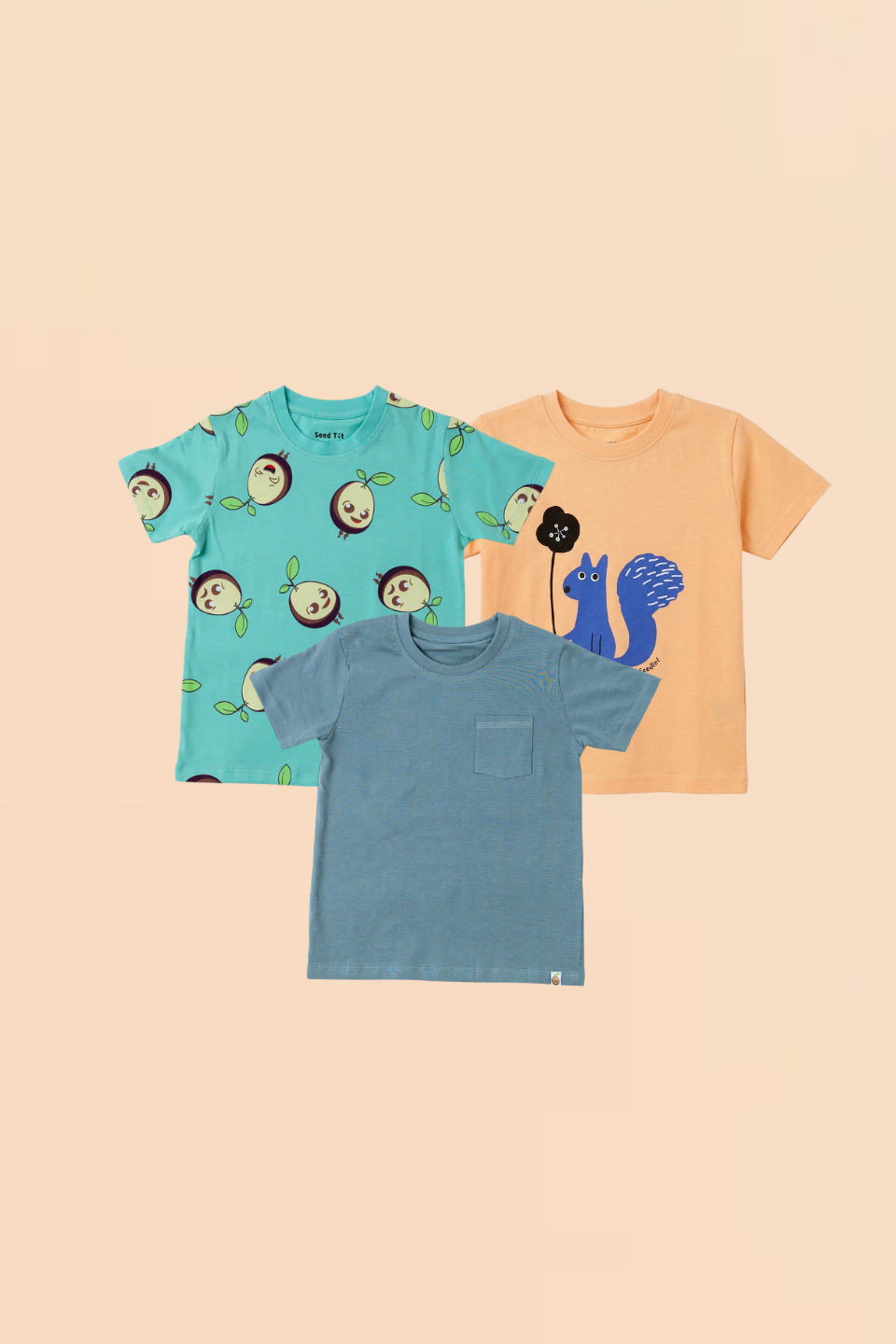 AOP Mint, Plain Grey and Squirrel Orange - Boys