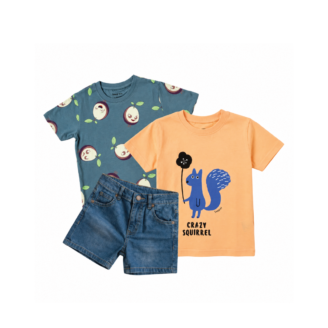 AOP Grey, Squirrel Orange and Denim - Boys